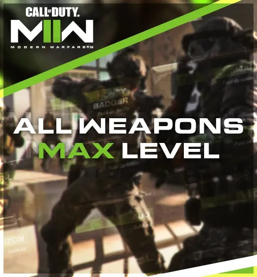 MW2 All Weapons Max Level