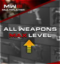 MW3 60 Weapon Max Level Service