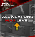 MW3 60 Weapon Max Level Service - NEXVADO