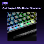 XVX M67 JadeStone Interstellar Black Tri-Mode RGB Mechanical Keyboard - NEXVADO